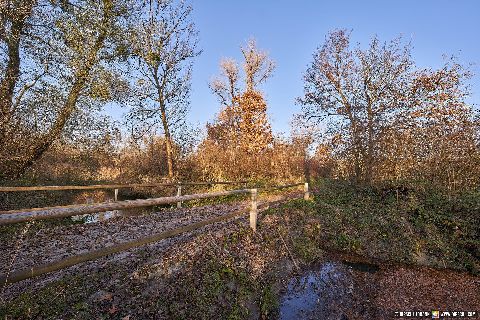 Gemeinde Kirchdorf Landkreis Rottal-Inn Waldsee Lago Herbst (Dirschl Johann) Deutschland PAN